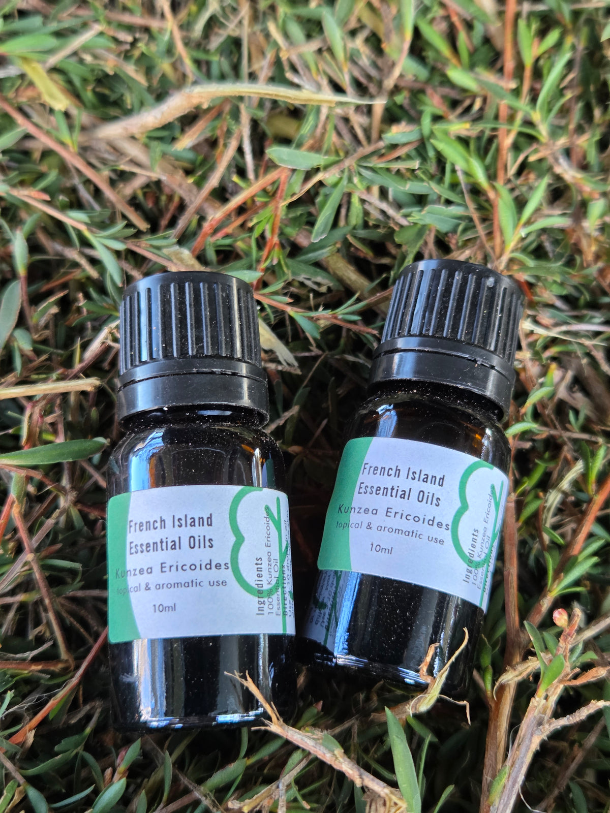 Kunzea Essential Oil - Kunzea Ericoides